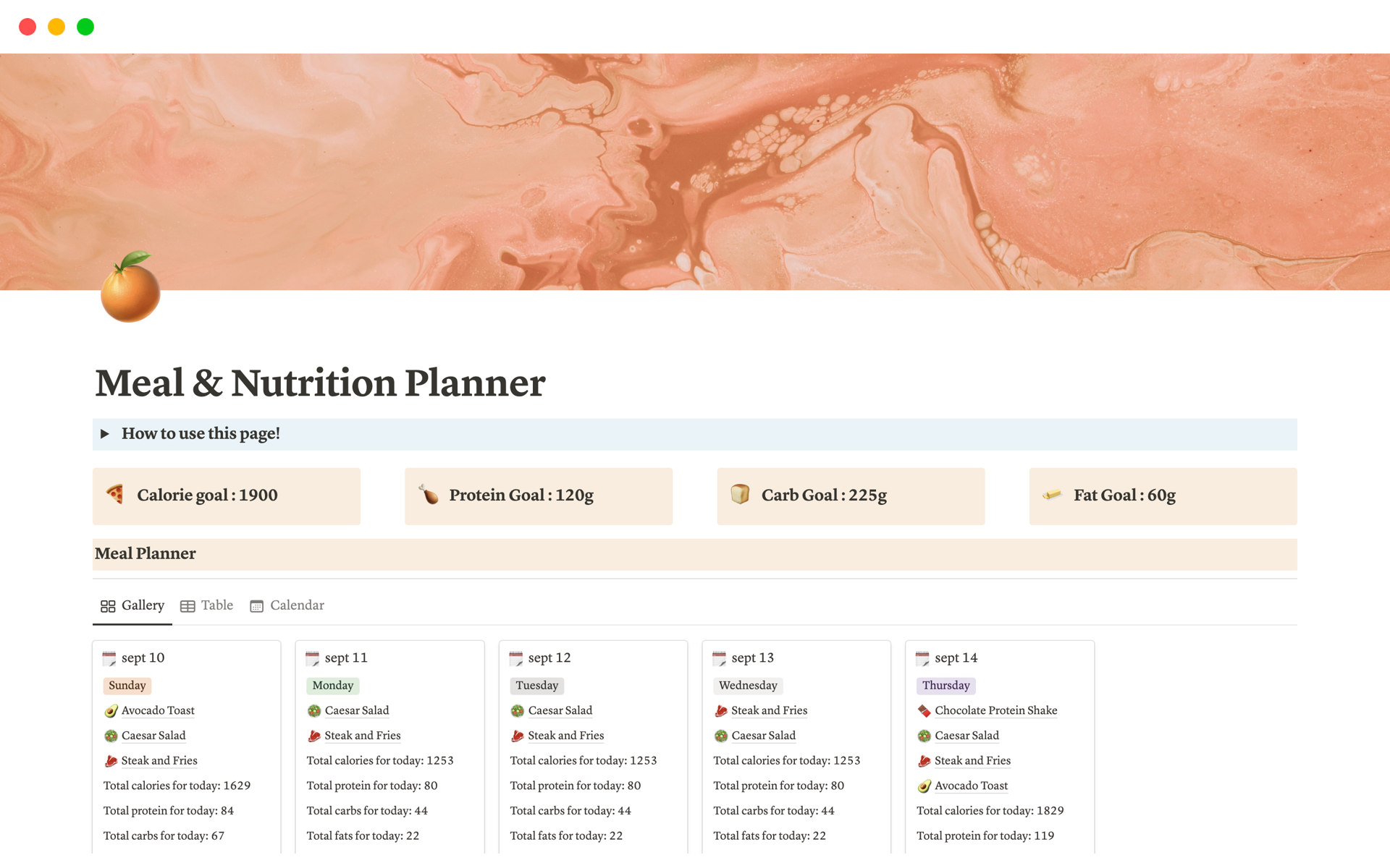 A template preview for Meal & Nutrition Planner