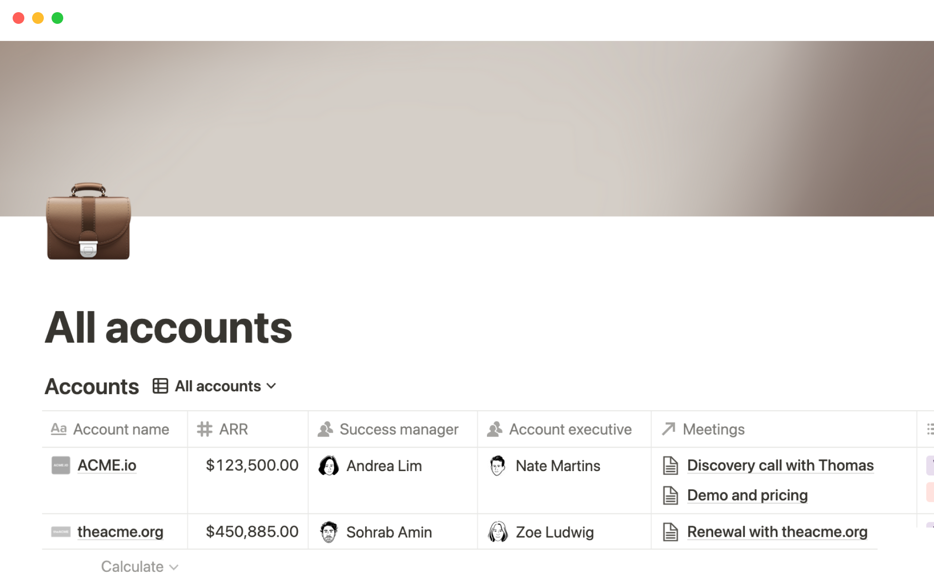 A template preview for Notion’s all accounts template