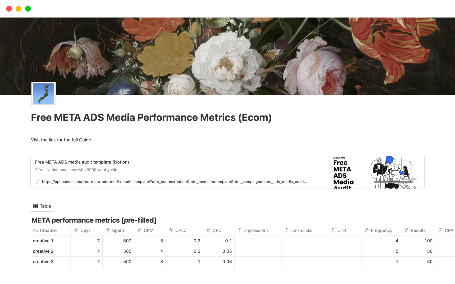 A template preview for META ADS Media Performance Metrics (Ecom)