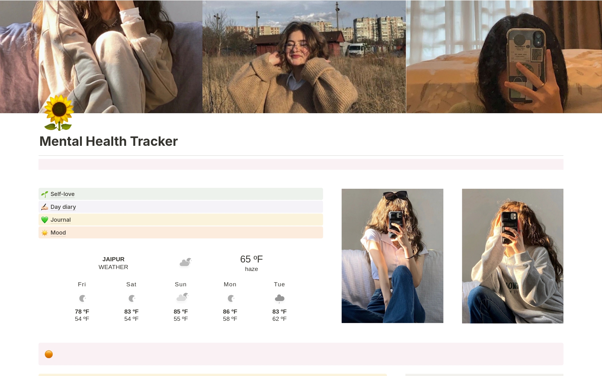 A template preview for Mental health tracker