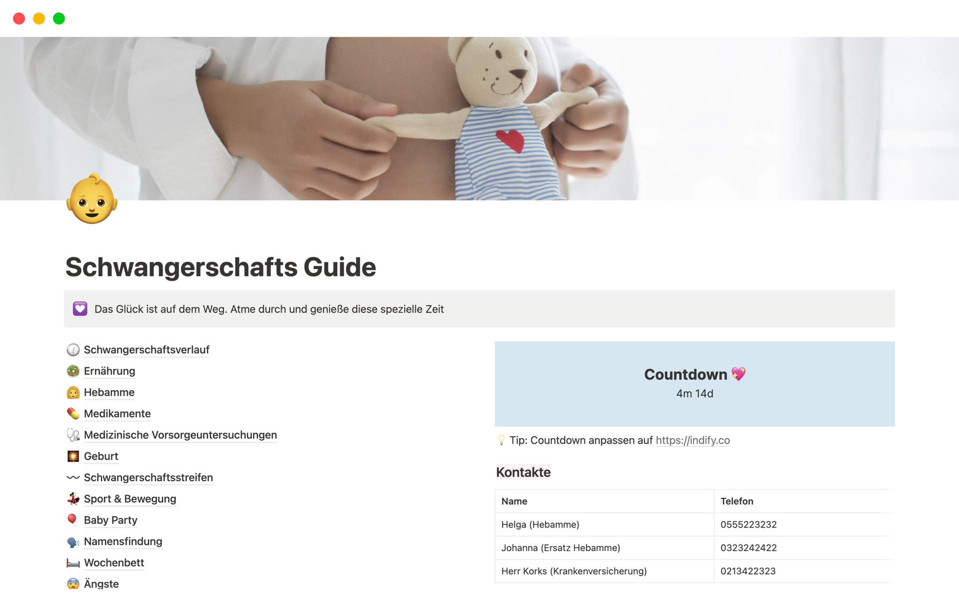 A template preview for Schwangerschafts Guide