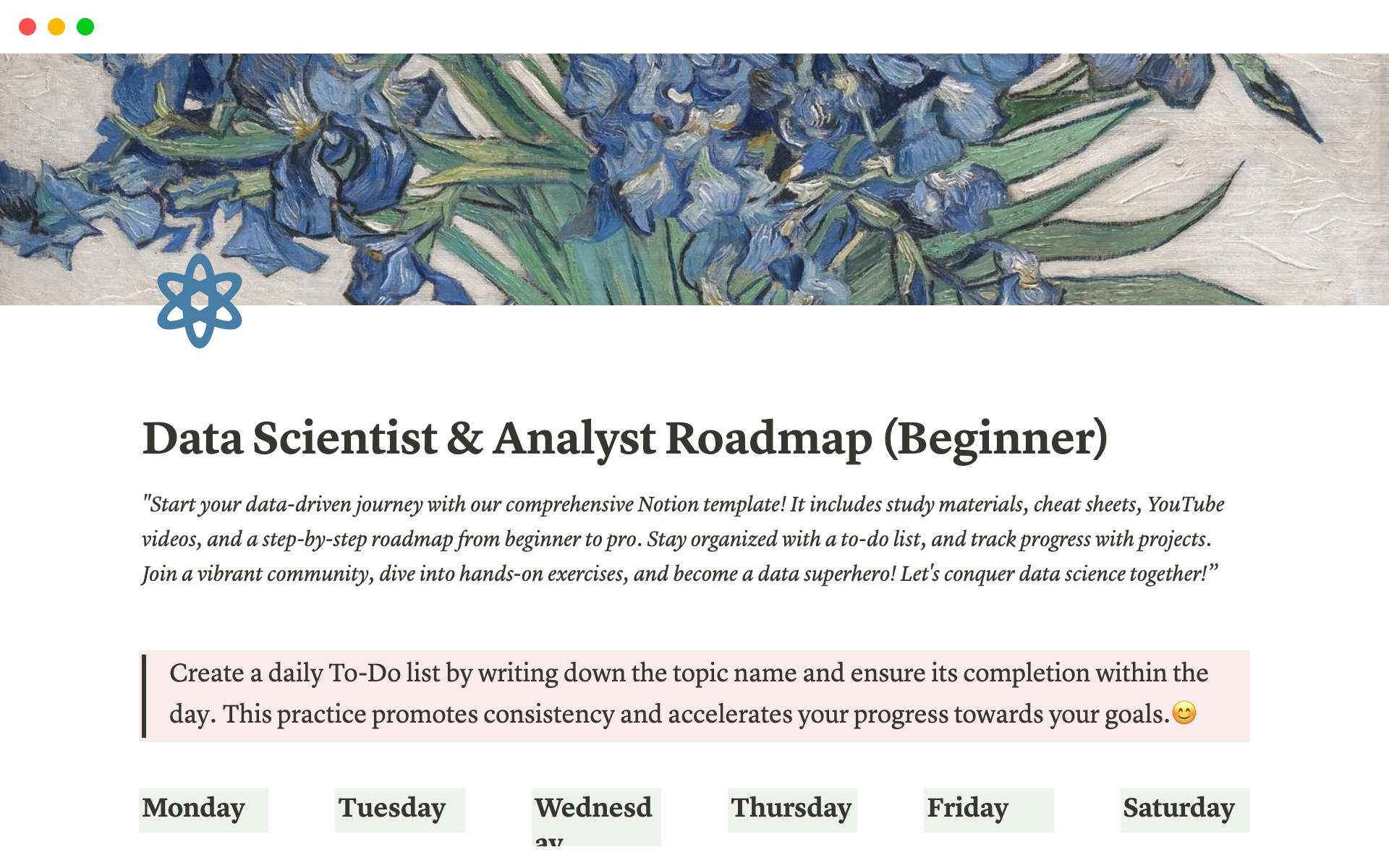 A template preview for Data Scientist & Analyst Roadmap (Beginner)