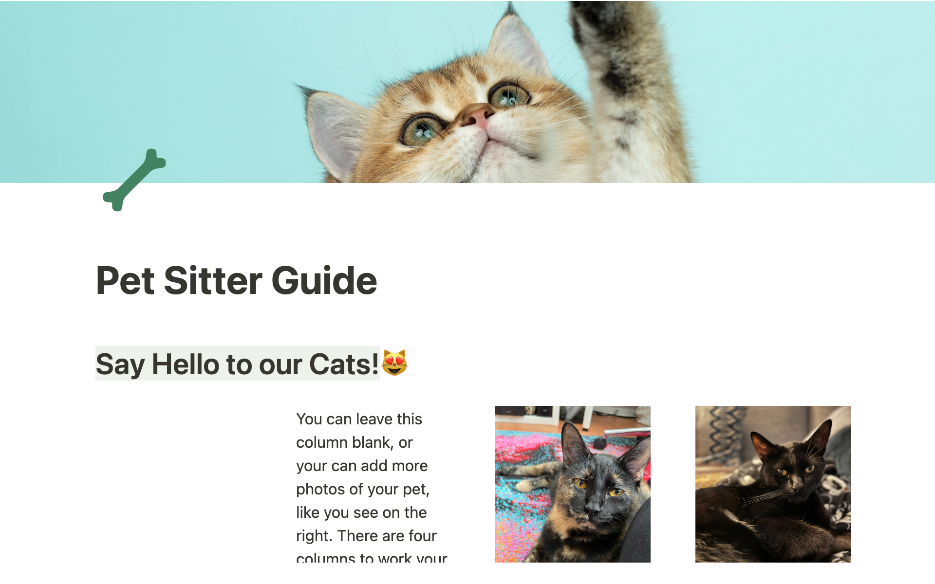A template preview for Pet sitter guide