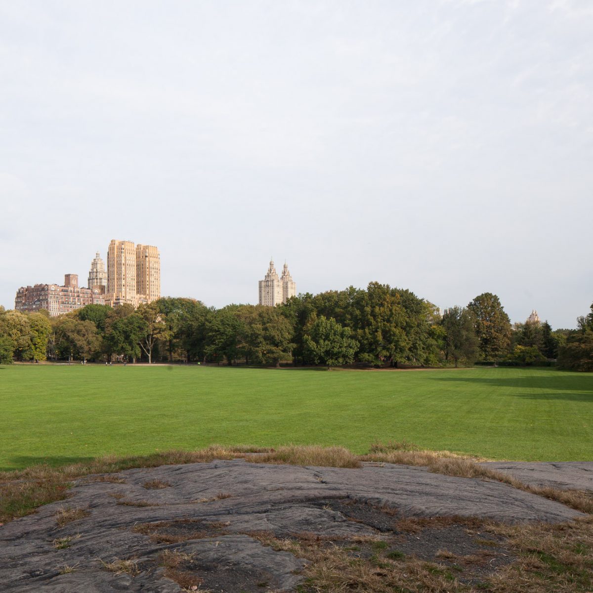 Central Park. Image from NYC LGBT Historic Sites Project.