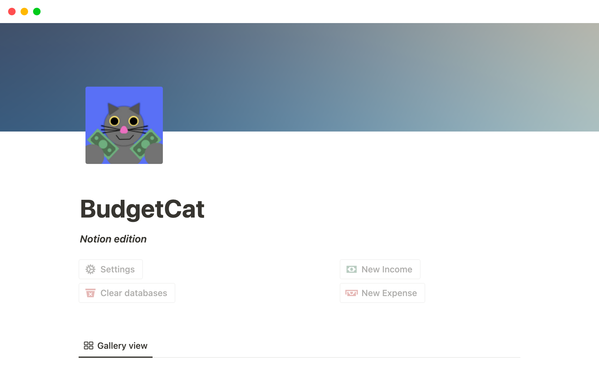 BudgetCat budget tracker Notion Template