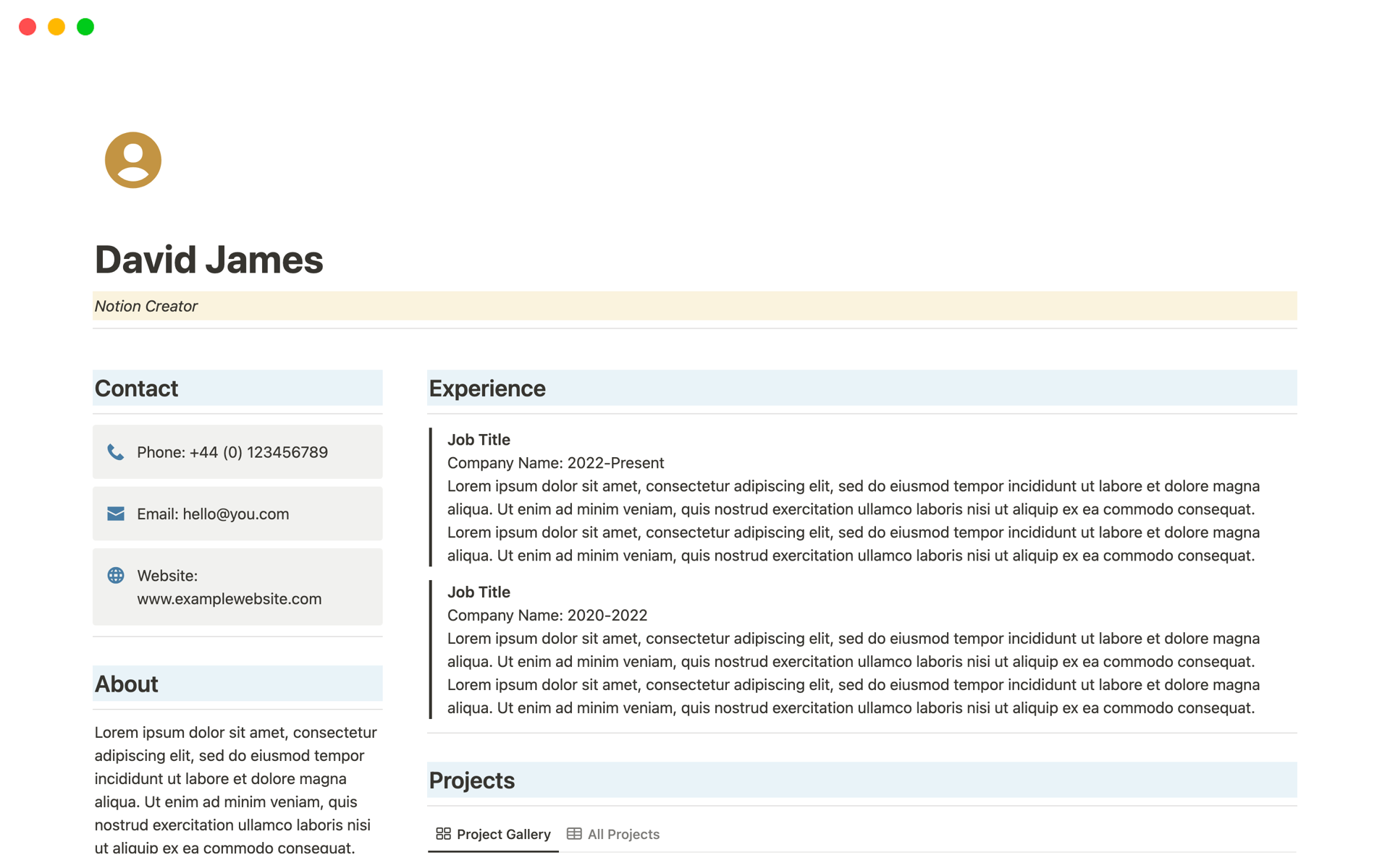 A template preview for Top 10 Job Opportunities Templates in Notion