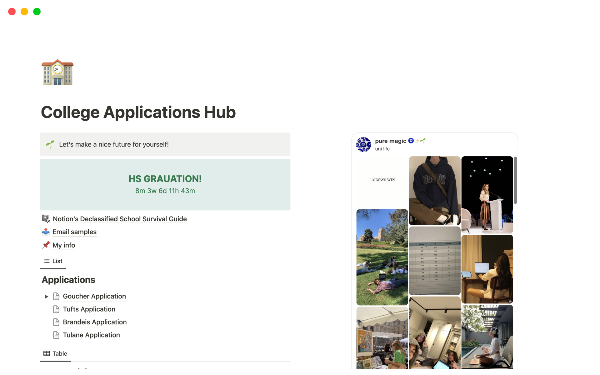 A template preview for Top 10 Free College Applications Templates in Notion