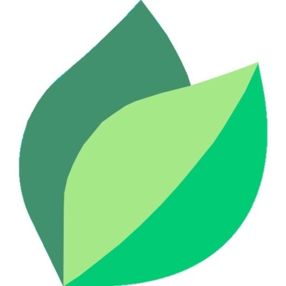 Profile picture of pocketmint