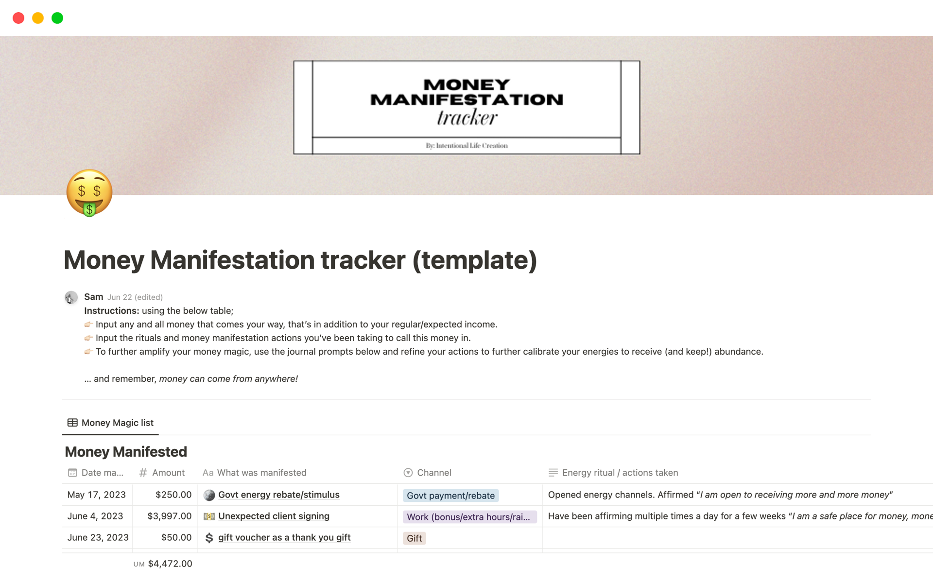 A template preview for Money Manifestation tracker (template)