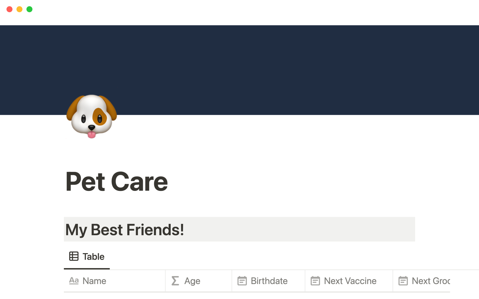 A template preview for Pet care