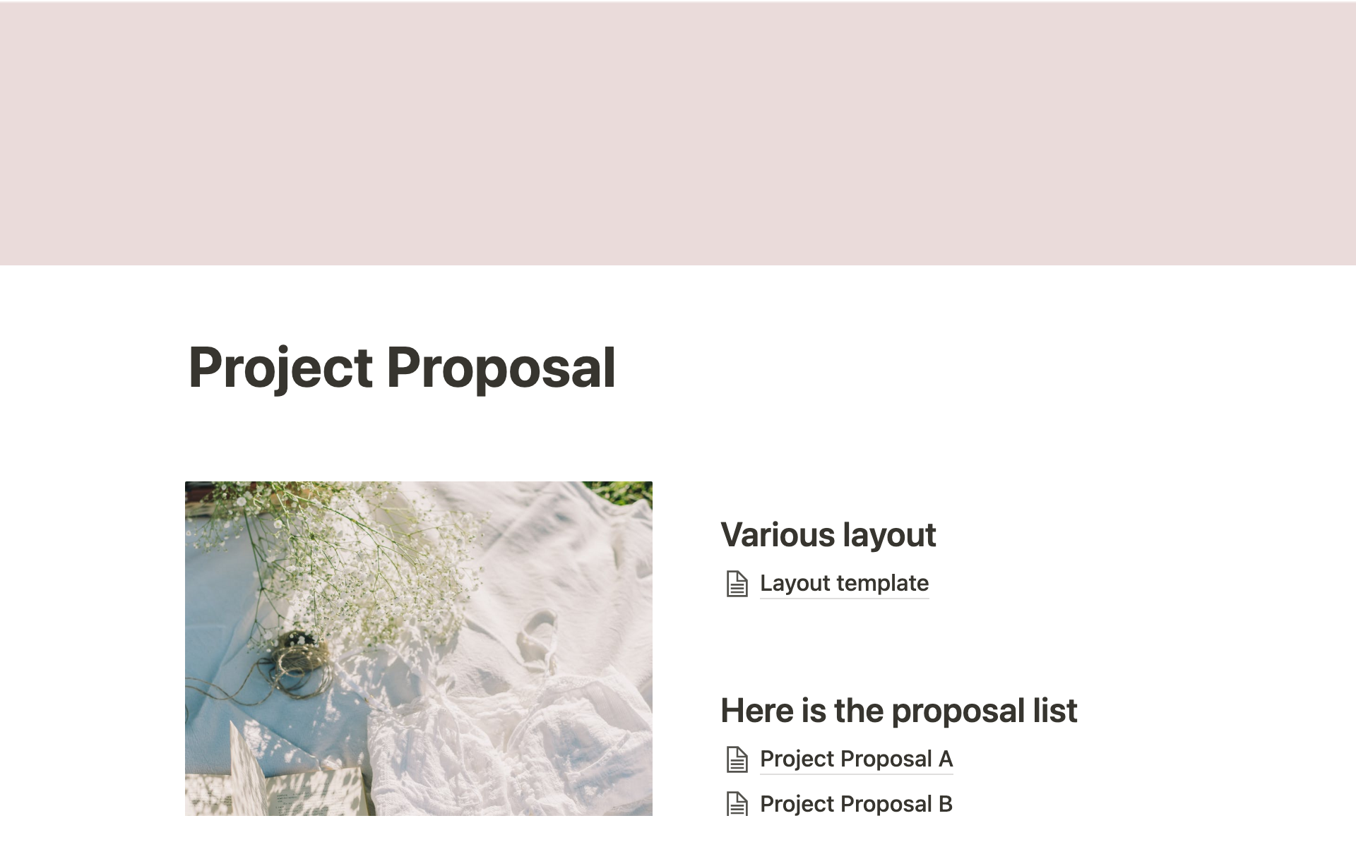 A template preview for Project proposal doc
