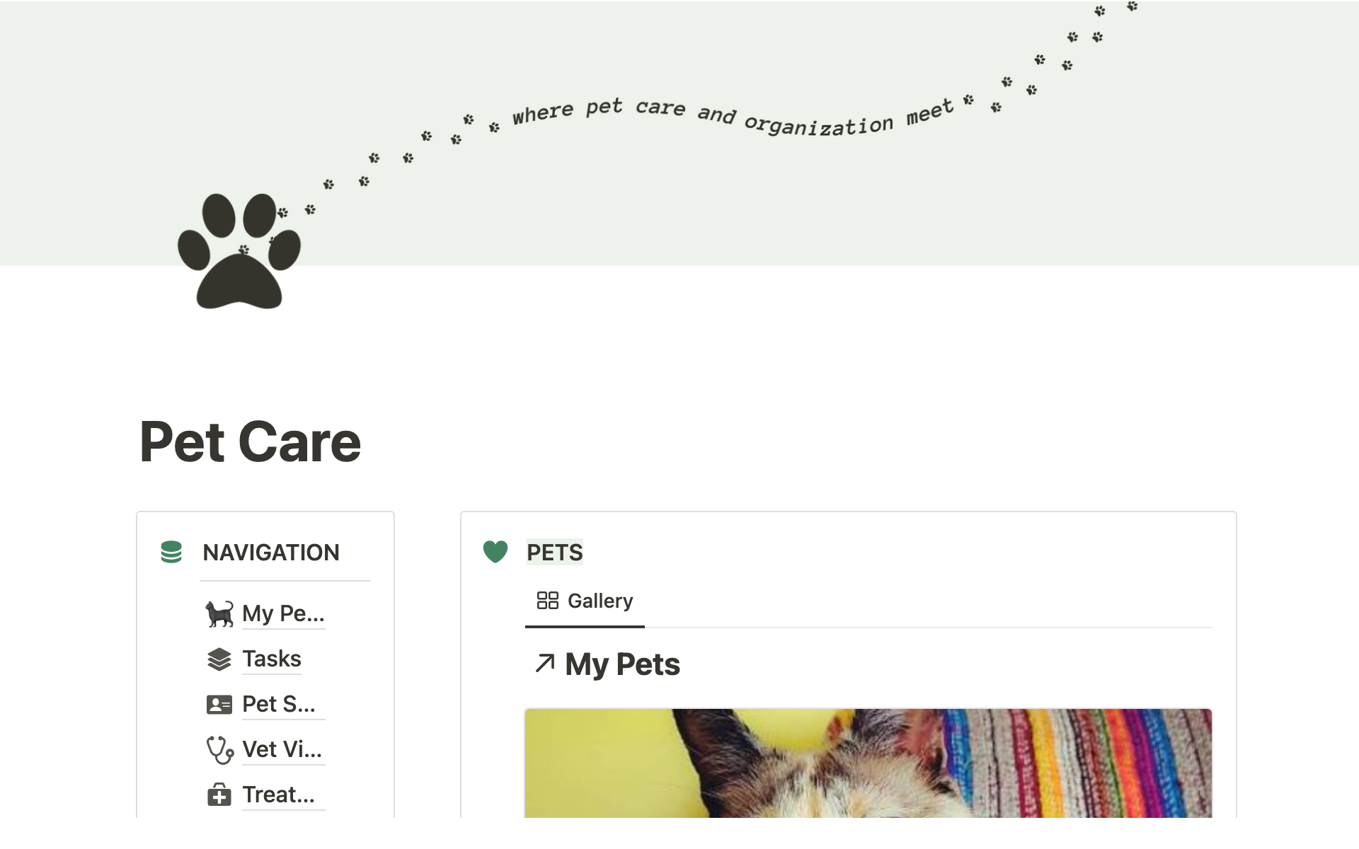 This Notion template allows you to easily manage all of your pet's important information in one place.