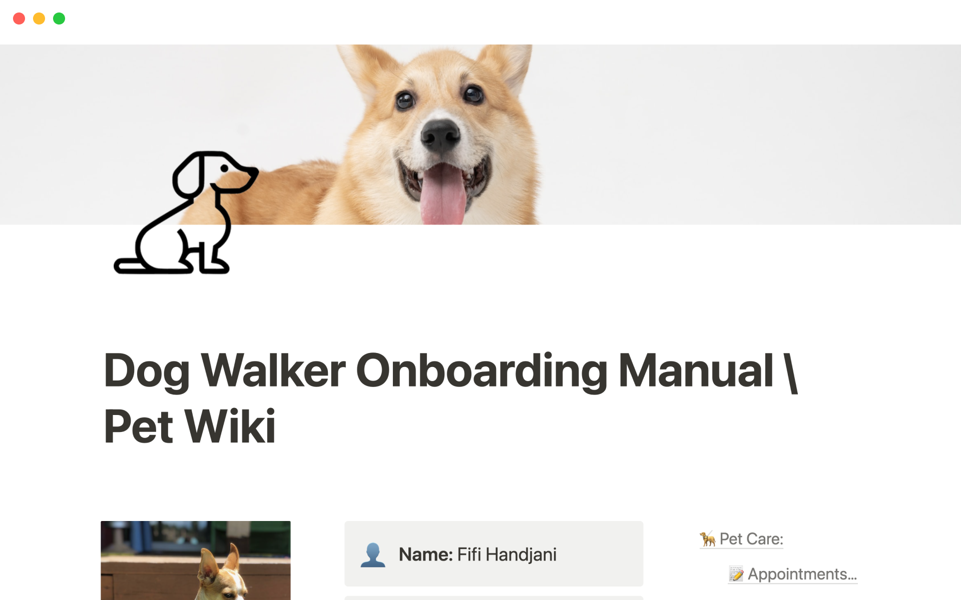 A template preview for Dog walker onboarding manual