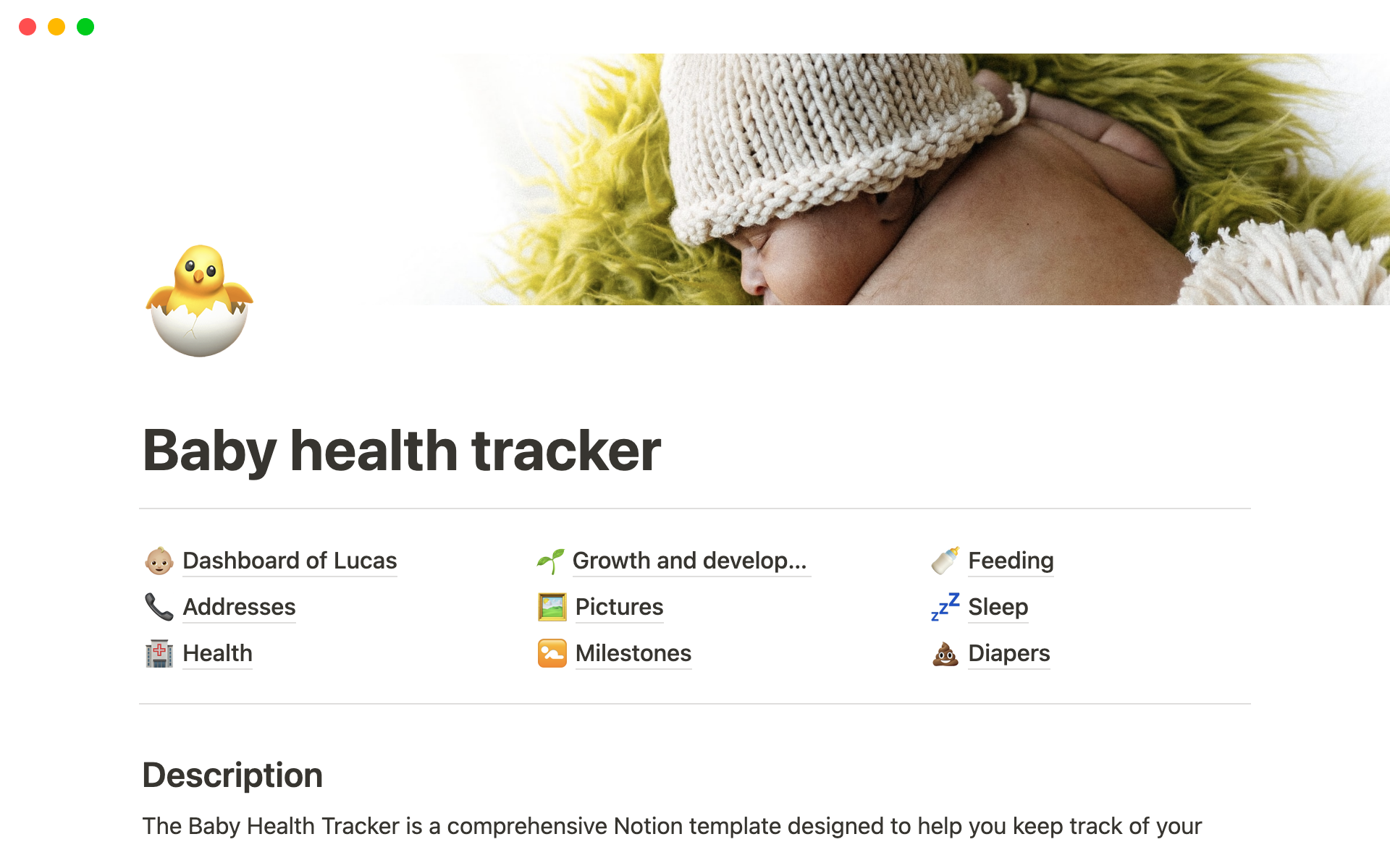 A template preview for Baby health tracker