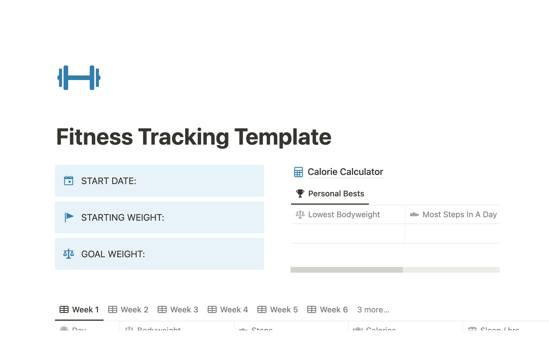 A template preview for Fitness Tracking Template