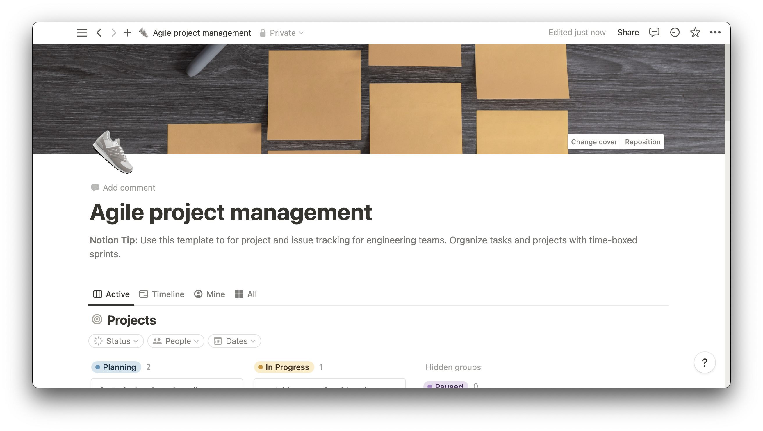 Agile Project Management template
