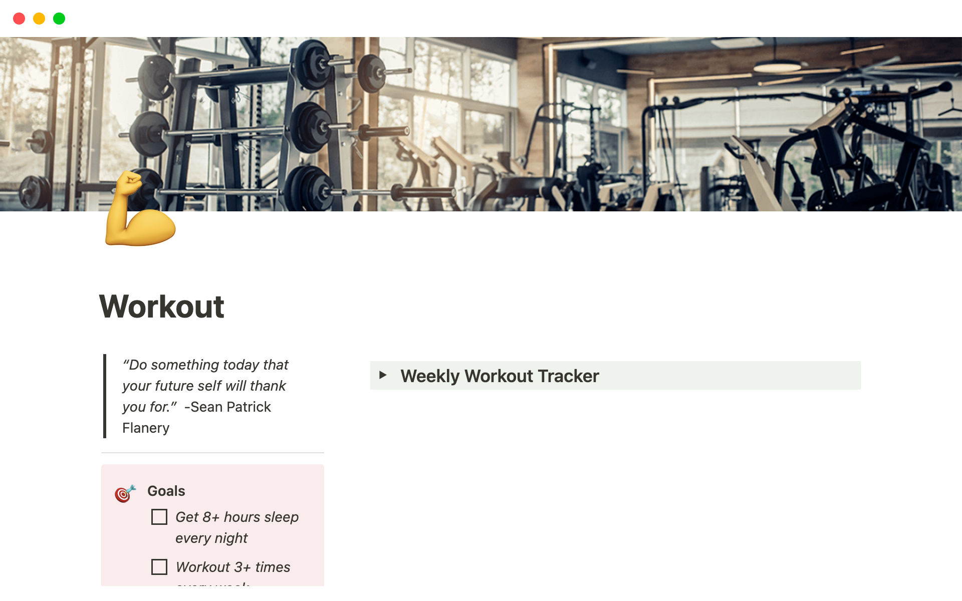 A template preview for Gym Workout Tracker
