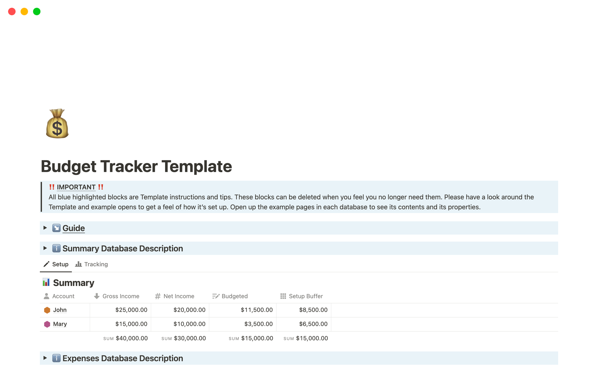 A template preview for Budget Tracker Template