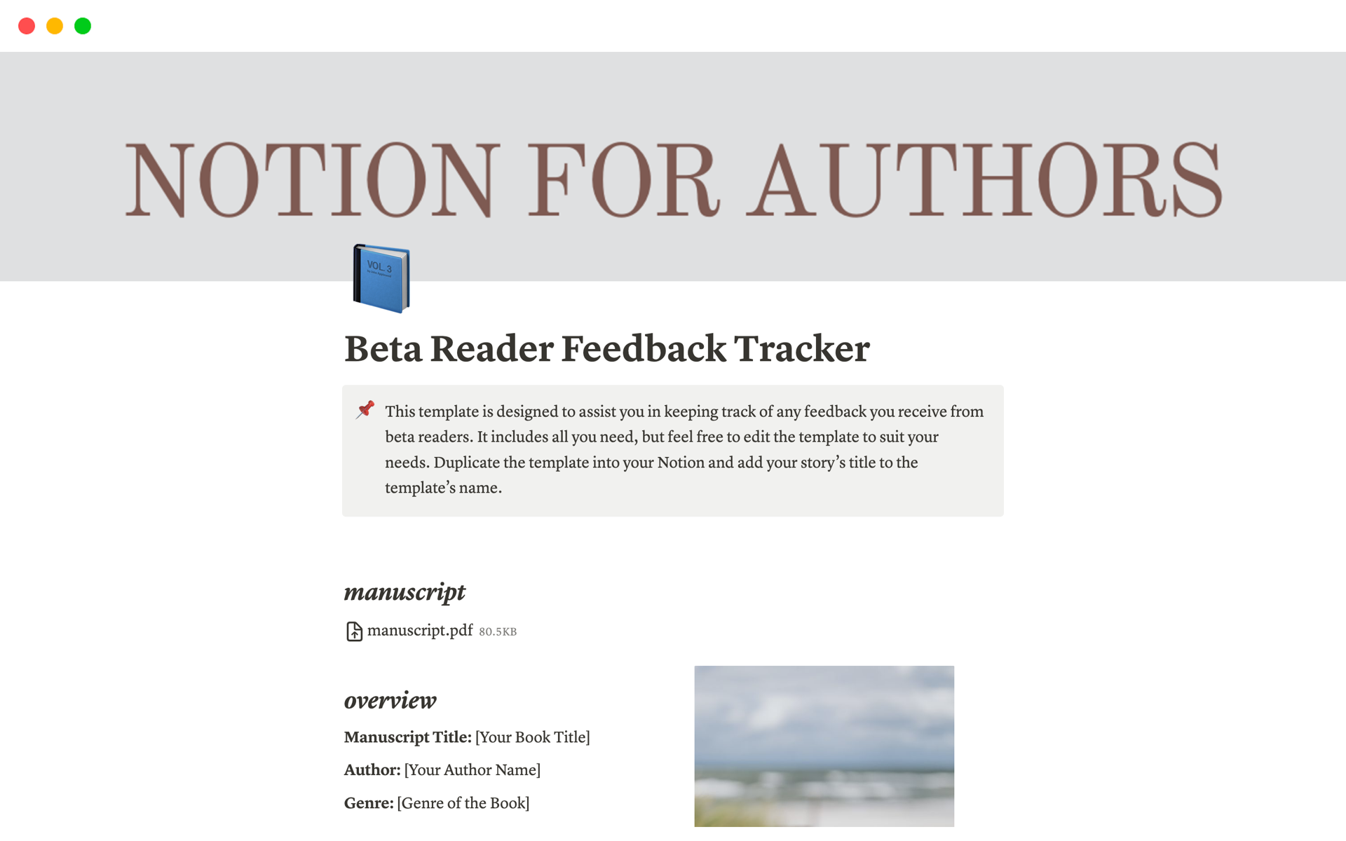 A template preview for Beta Reader Feedback Tracker
