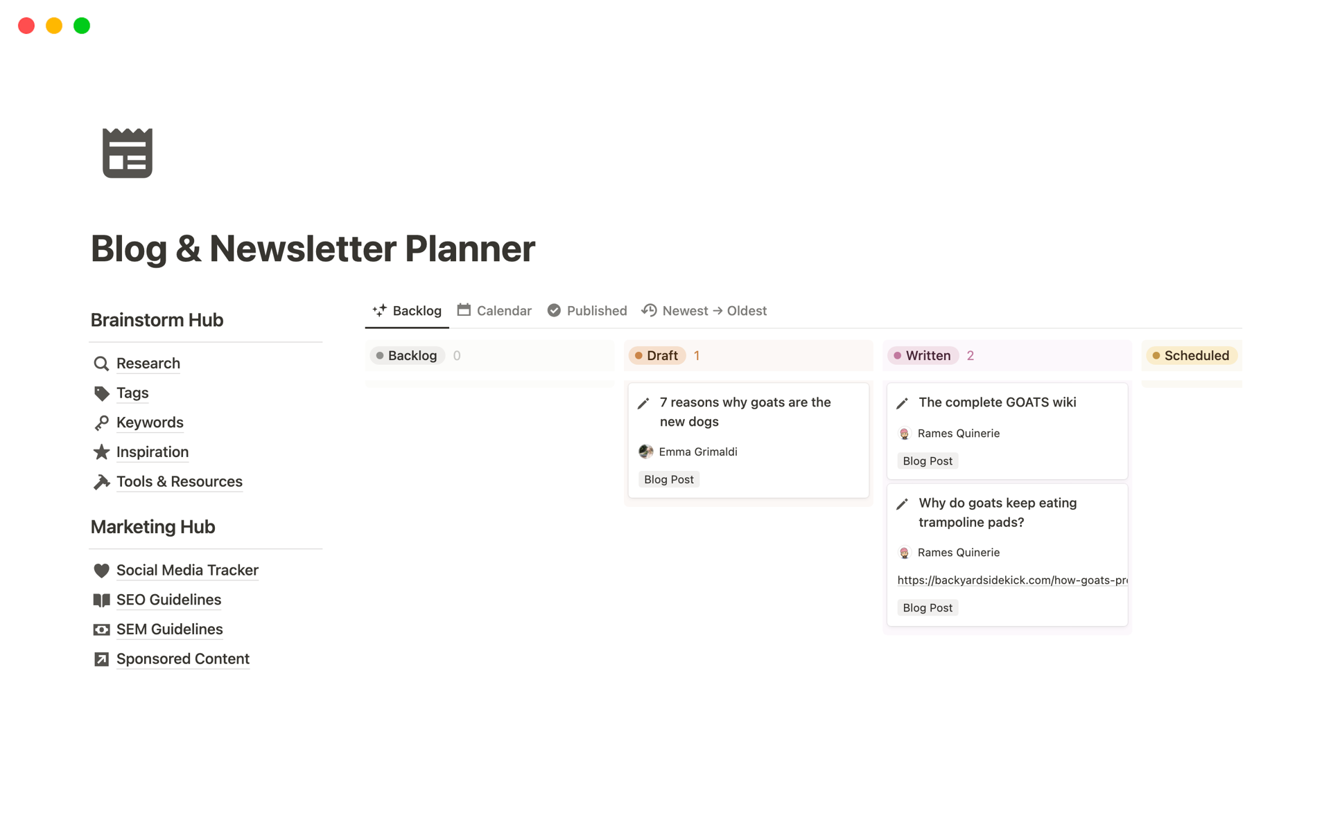 A template preview for Blog & Newsletter Planner