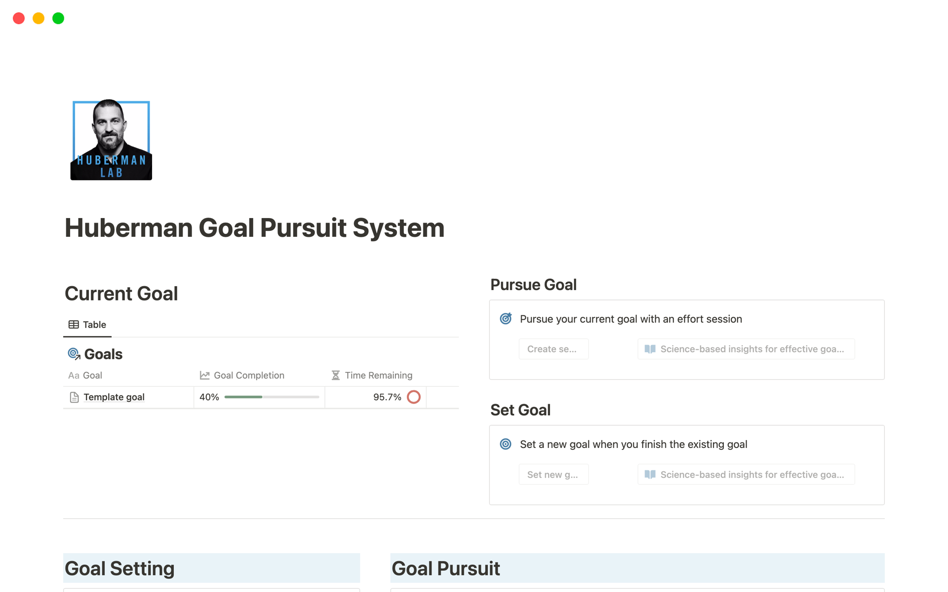 A template preview for Huberman Goal Pursuit System
