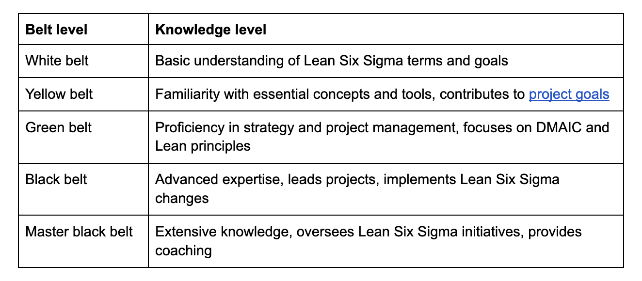 Six Sigma belt levels