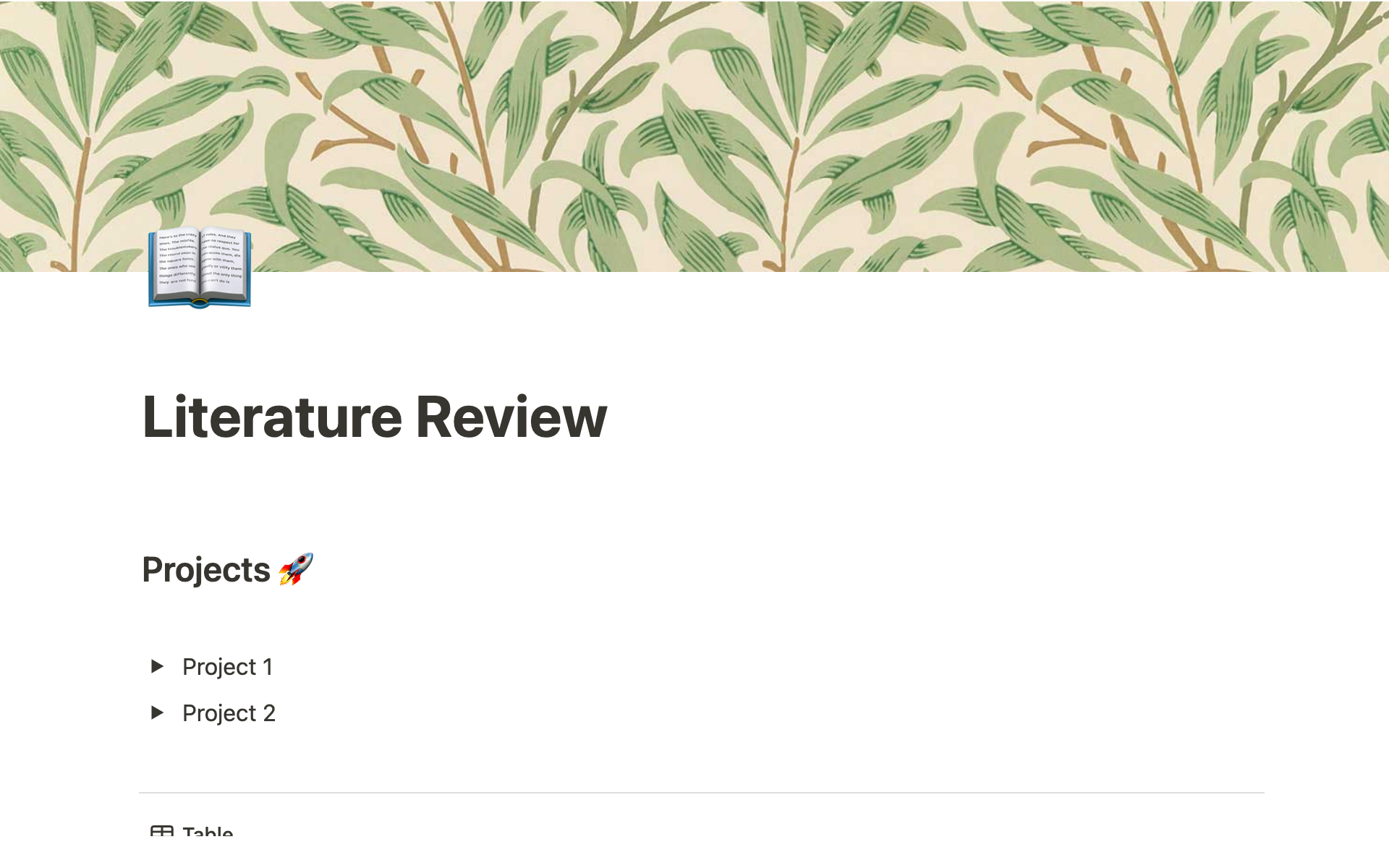 A template preview for Literature Review