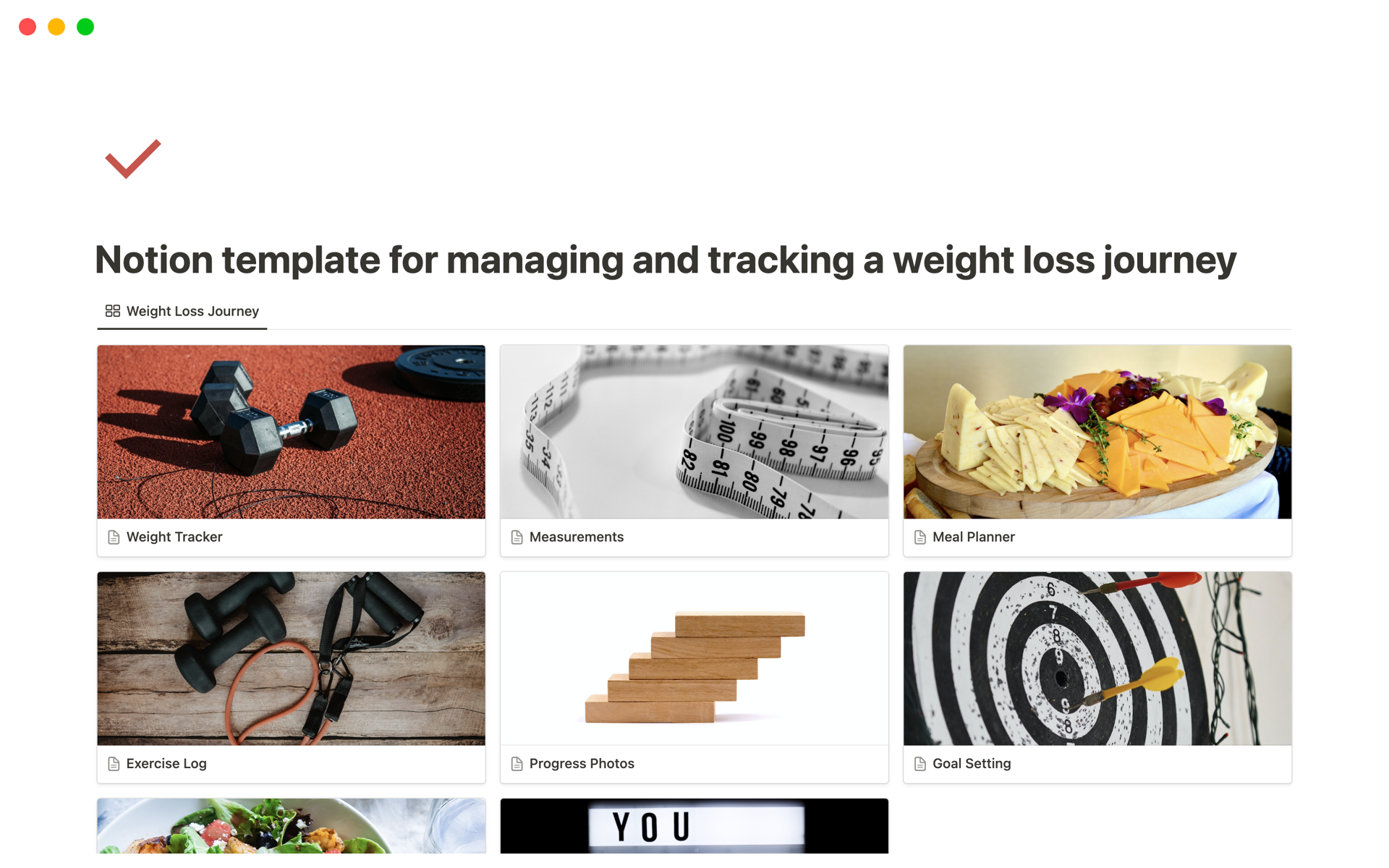 A template preview for tracking a weight loss journey