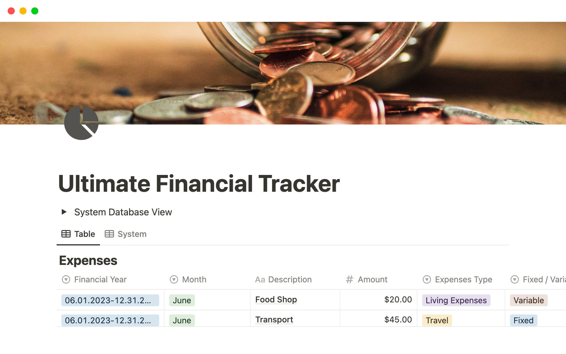 A template preview for Ultimate Financial Tracker