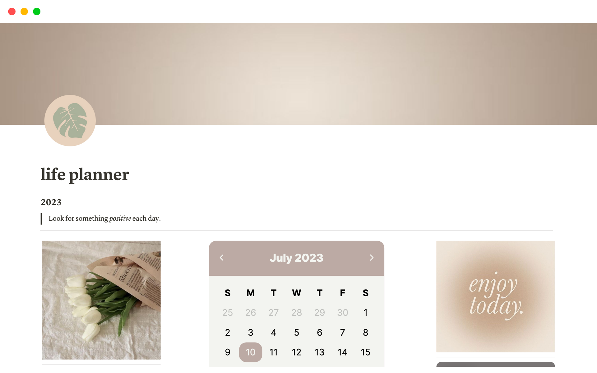 A template preview for Life Planner