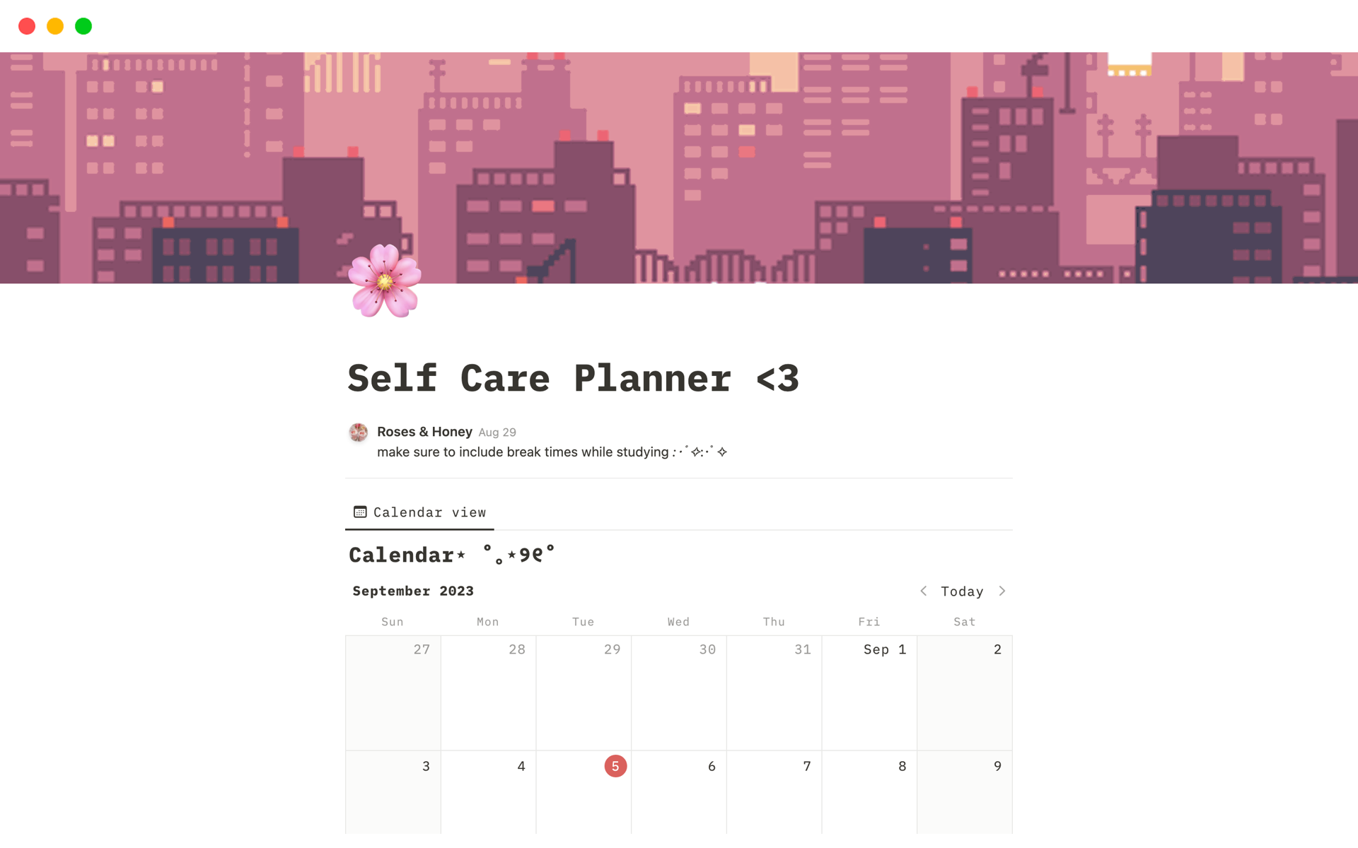 A template preview for Self Care Planner