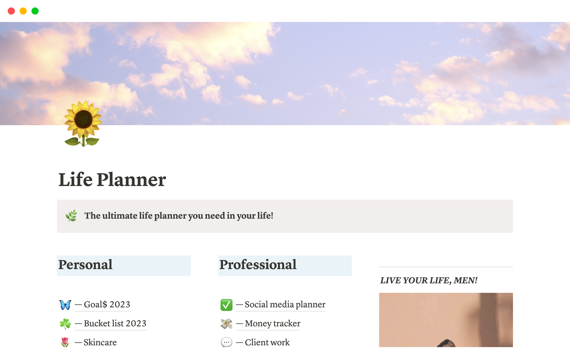 You can Plan your day-to-day Personal and Professional life with this aesthetic Life Planner