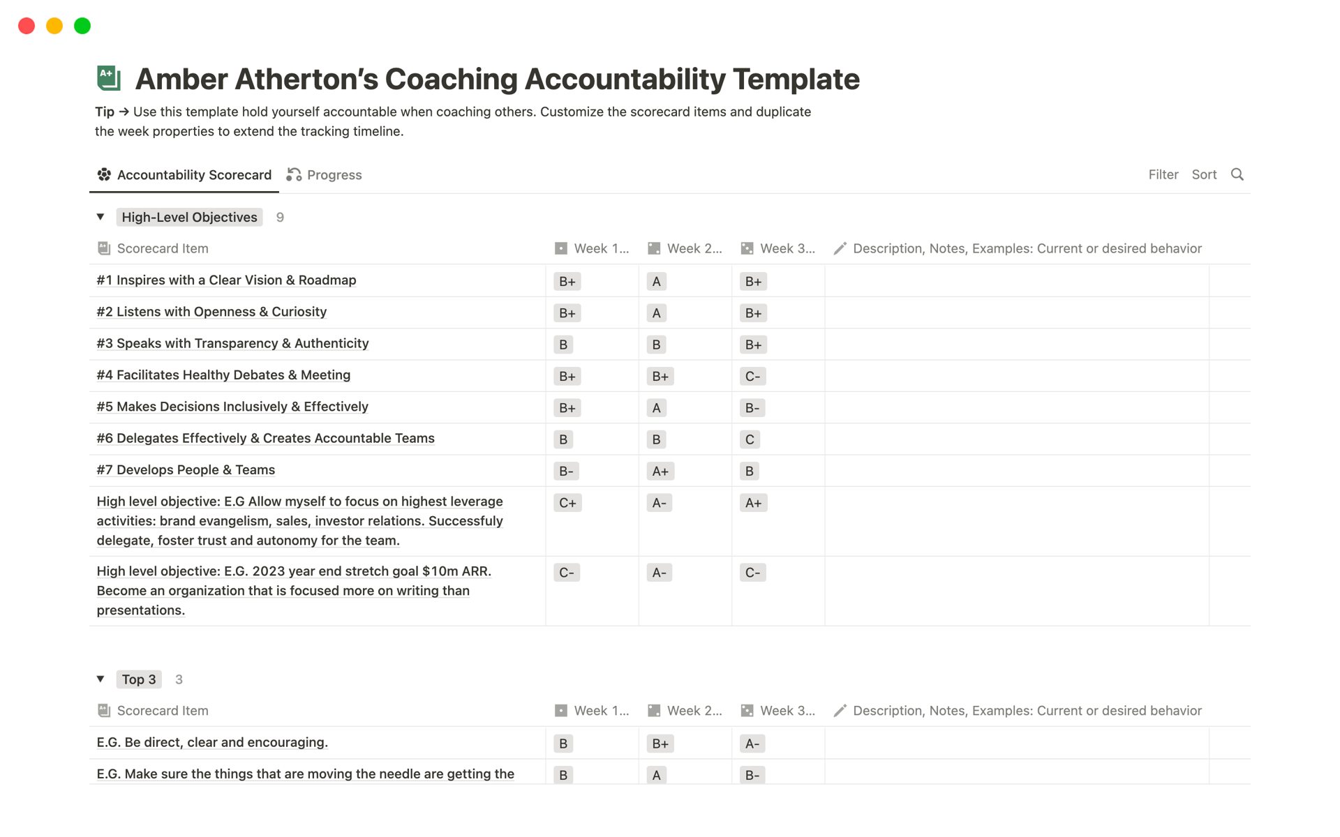 A template preview for Coaching Accountability