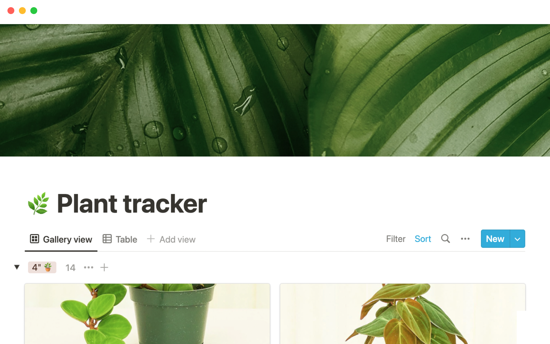 A template preview for Plant tracker
