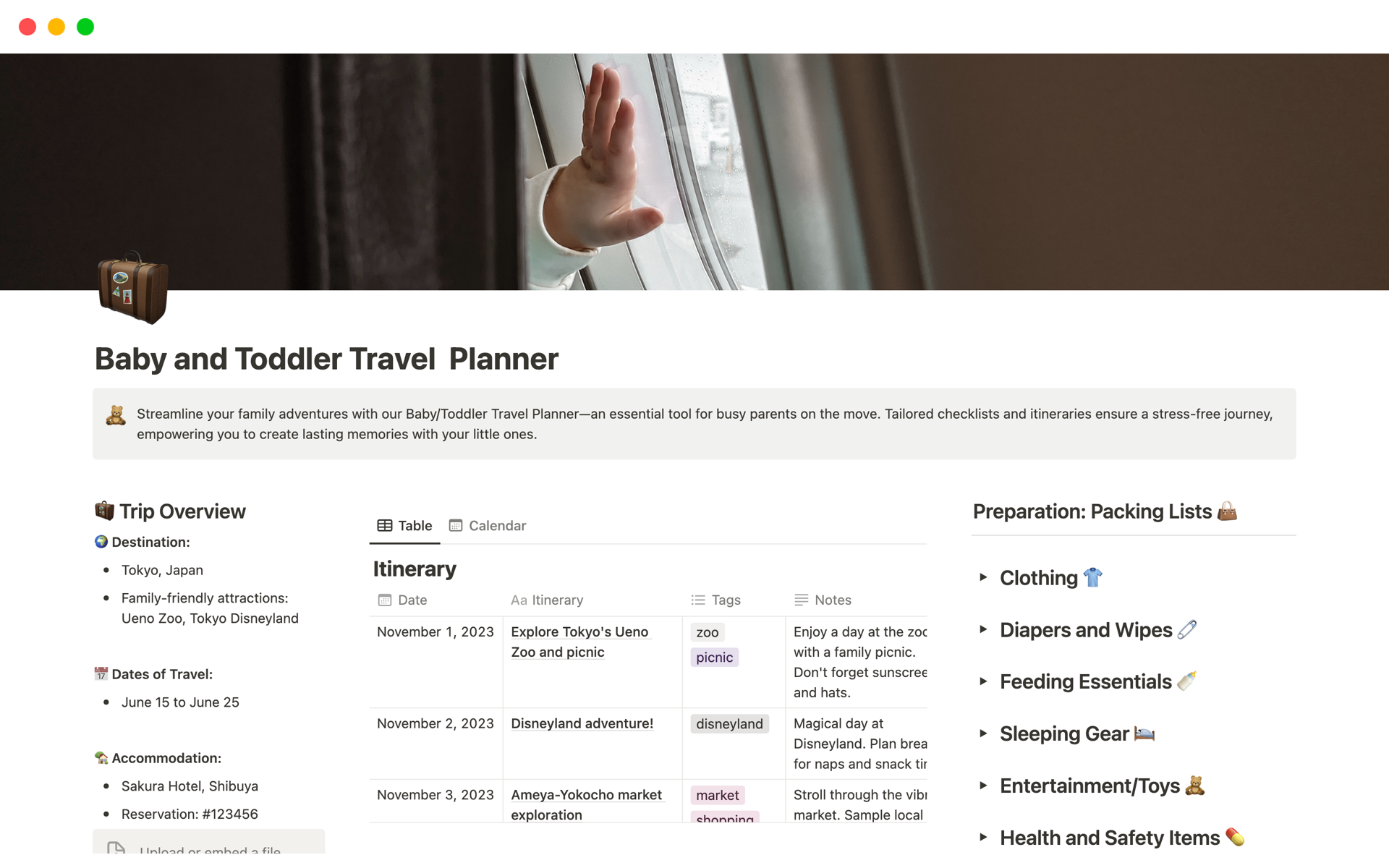 A template preview for Baby and Toddler Travel  Planner