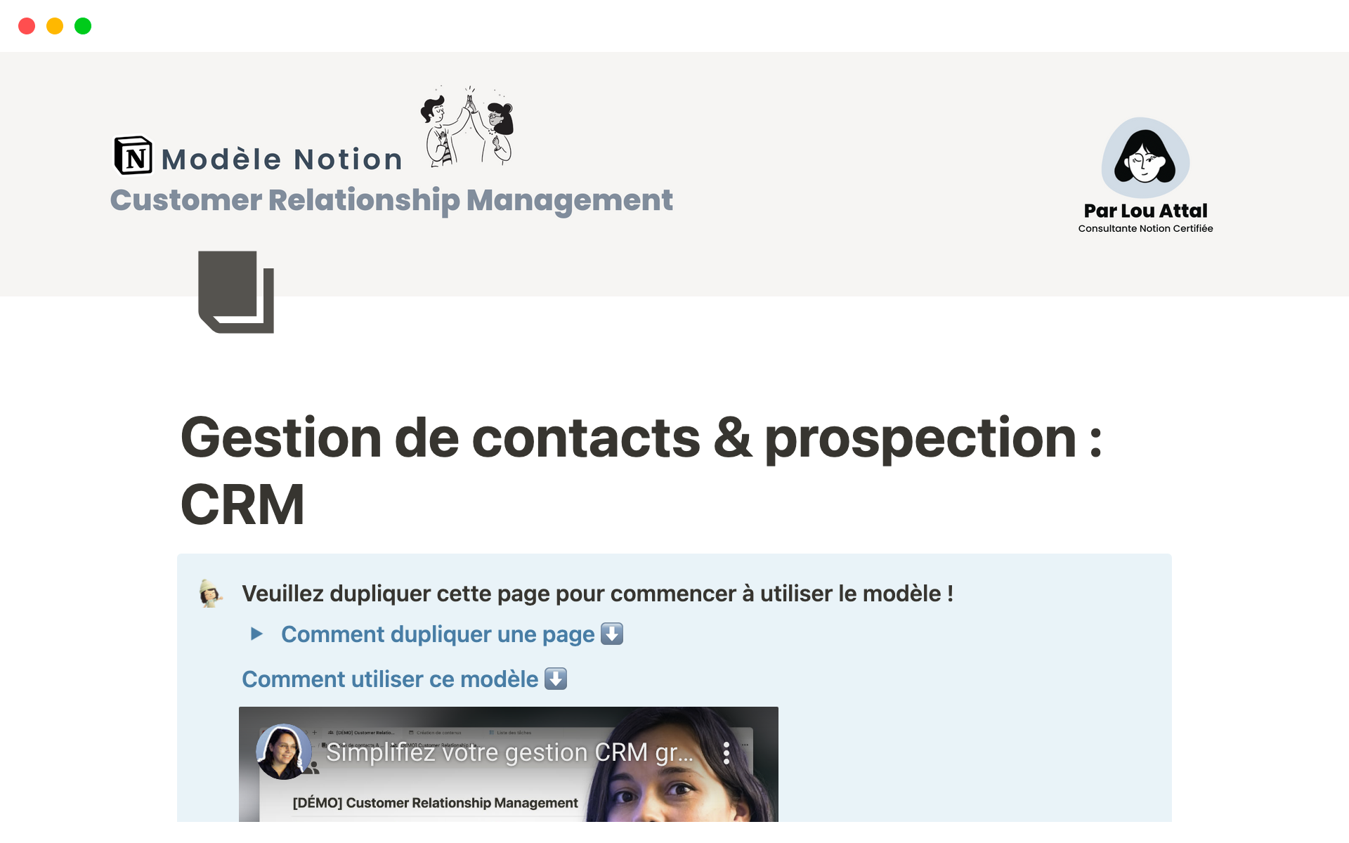 A template preview for CRM Professionnel