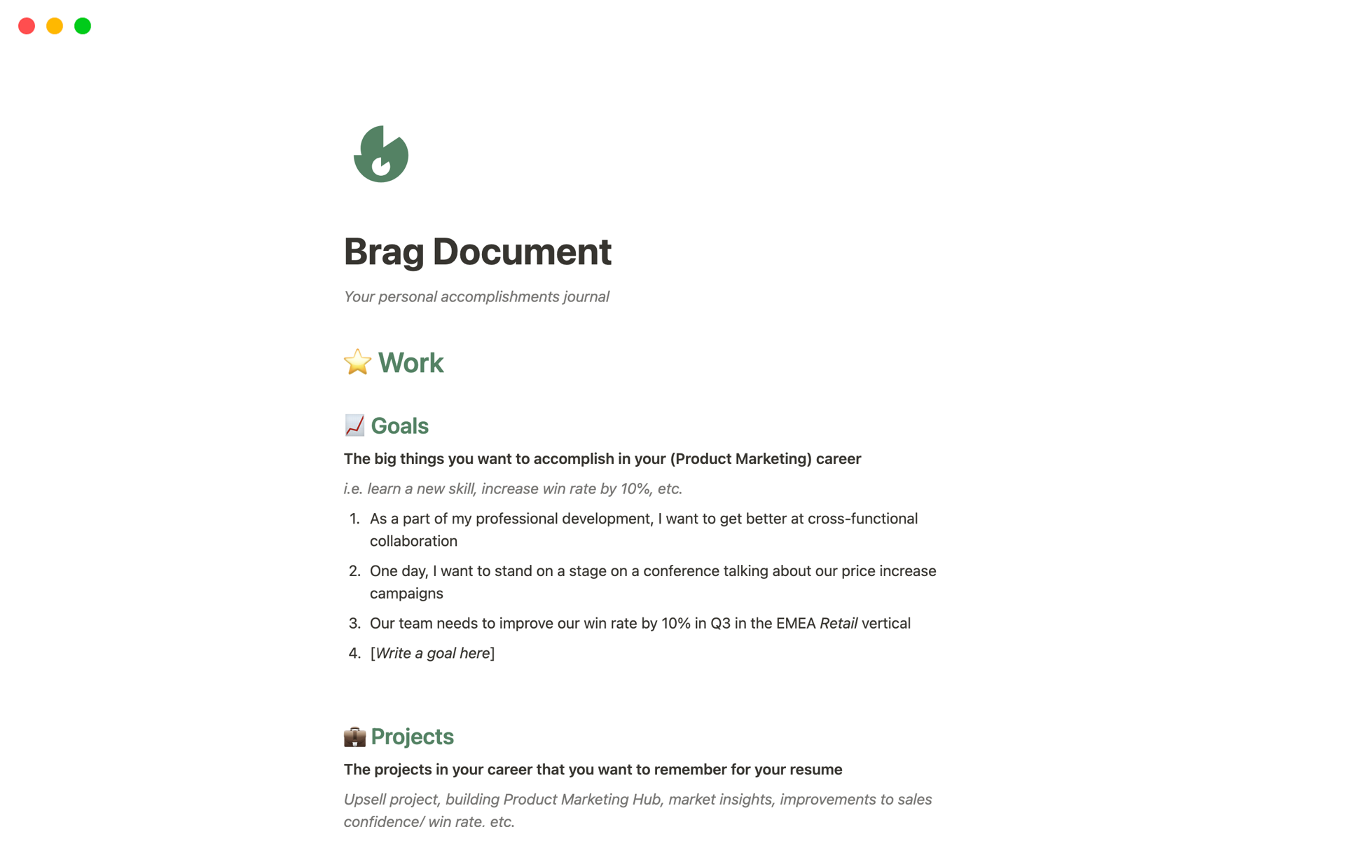 A template preview for Brag Document
