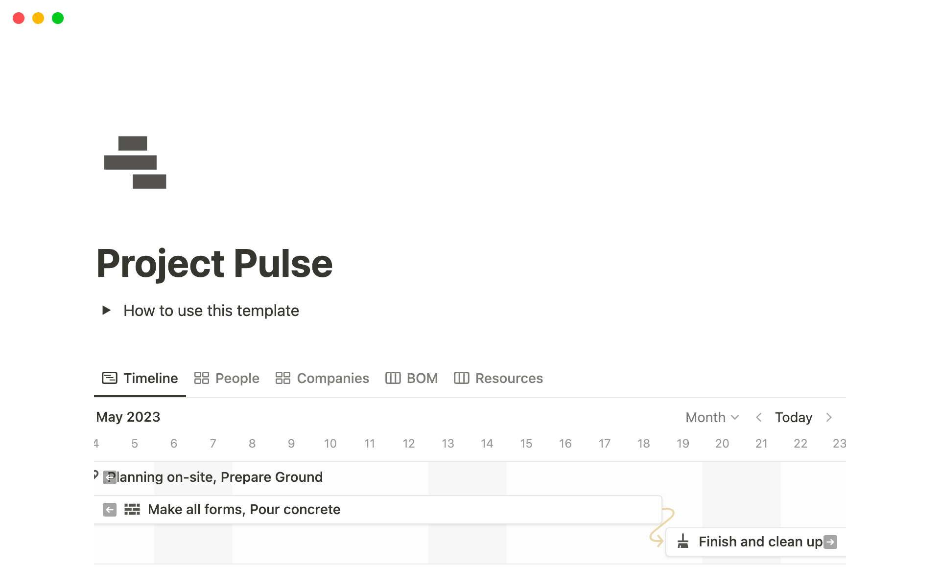 A template preview for Project Pulse
