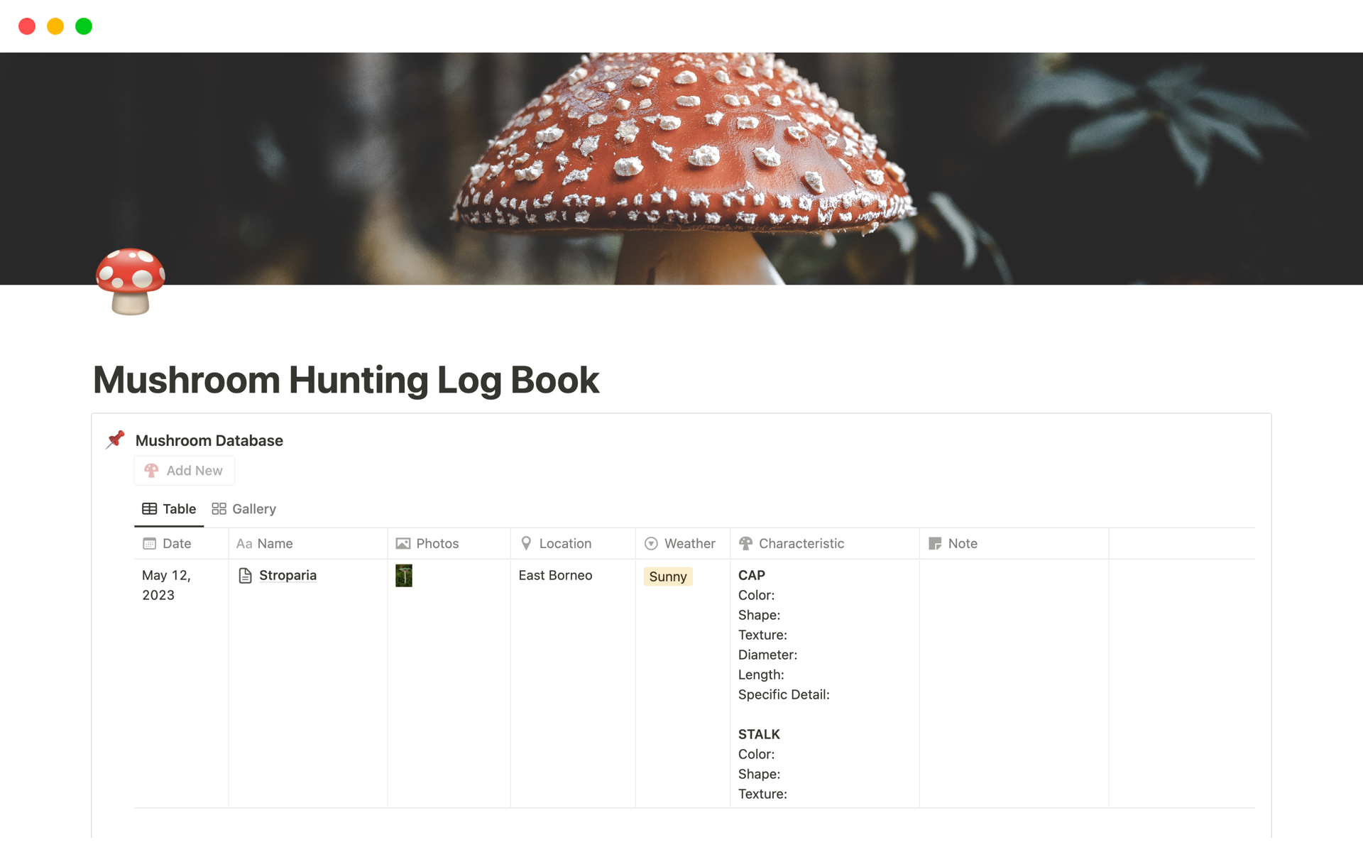 Mushroom Hunting Log Book Notion Template