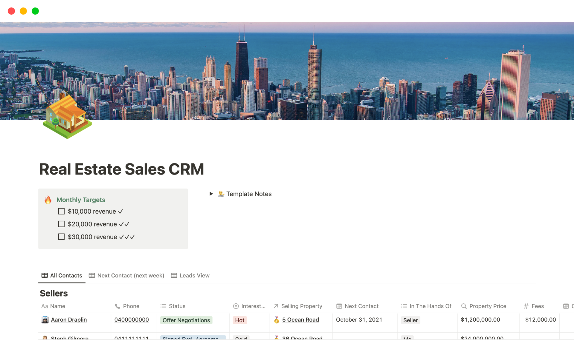 A template preview for Real Estate Sales CRM