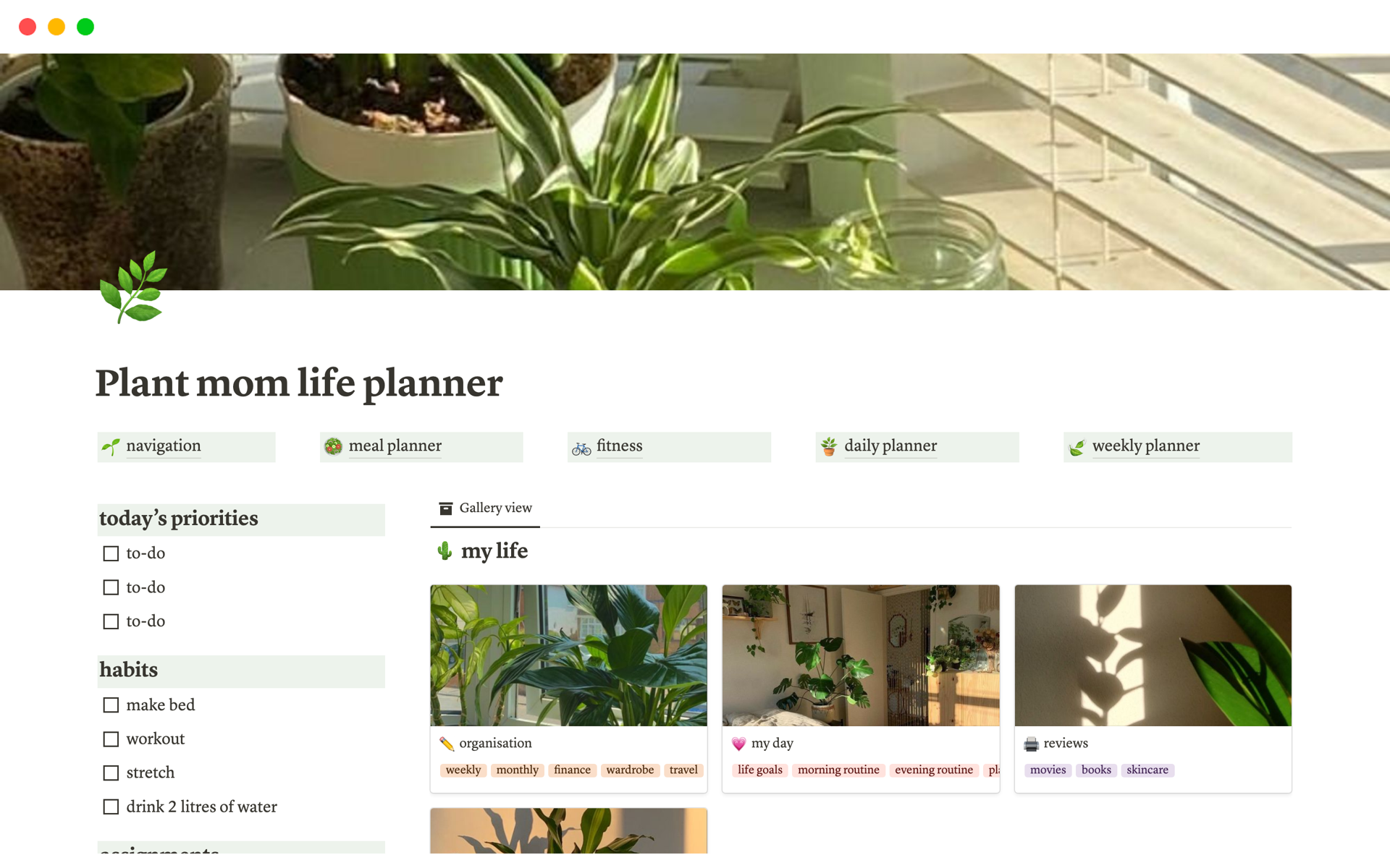A template preview for Aesthetic plant life planner
