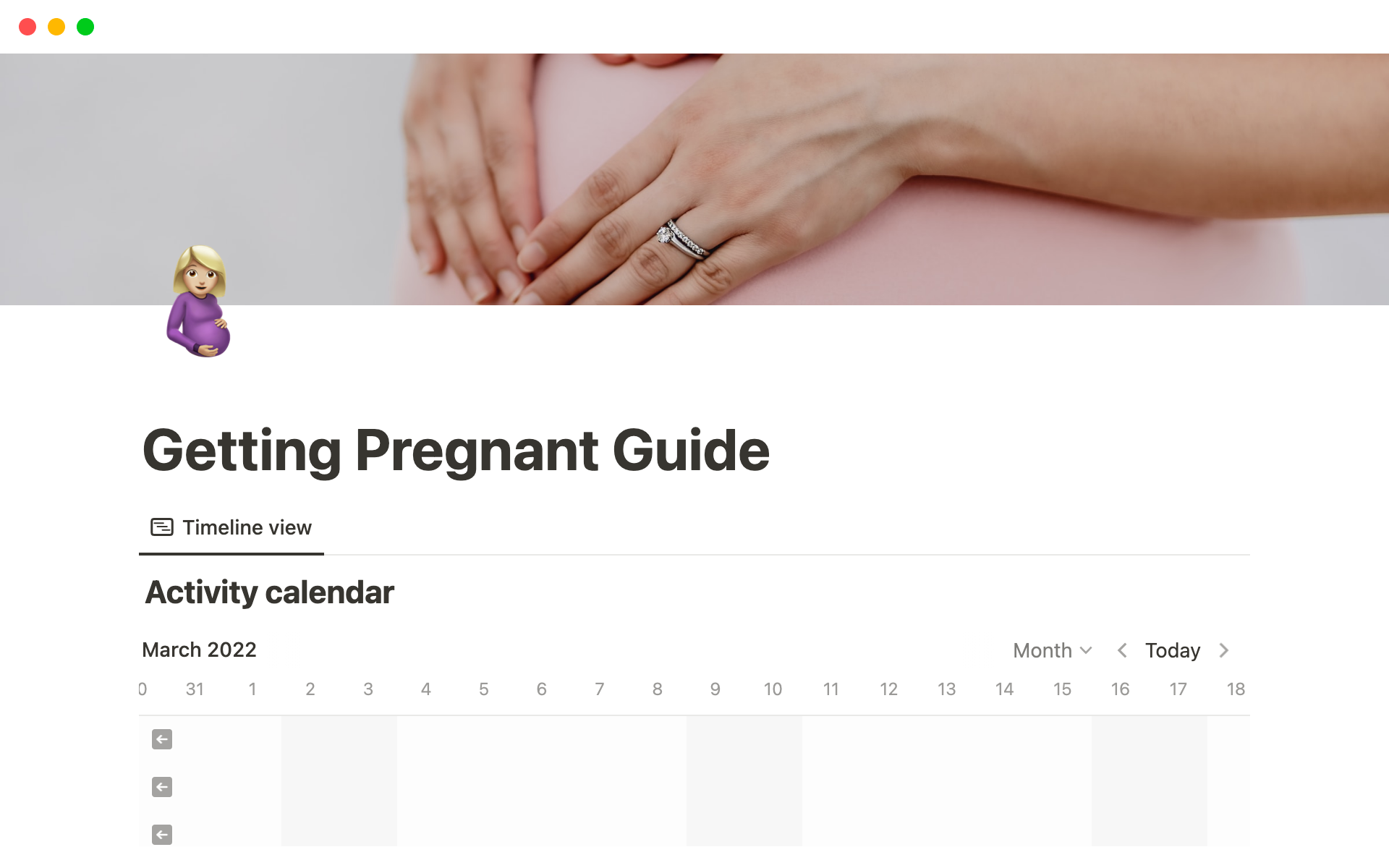 A template preview for Getting Pregnant Guide