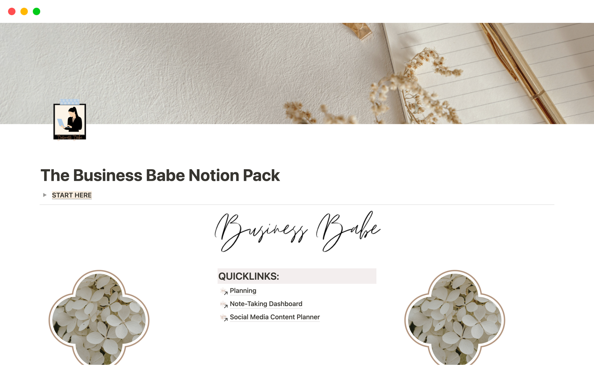 A template preview for The Business Babe Notion Pack