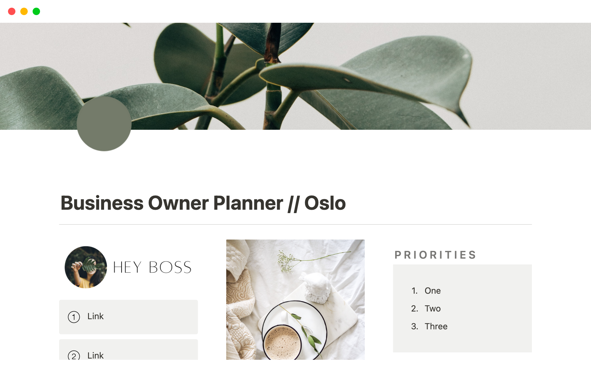 A template preview for Business Owner Planner