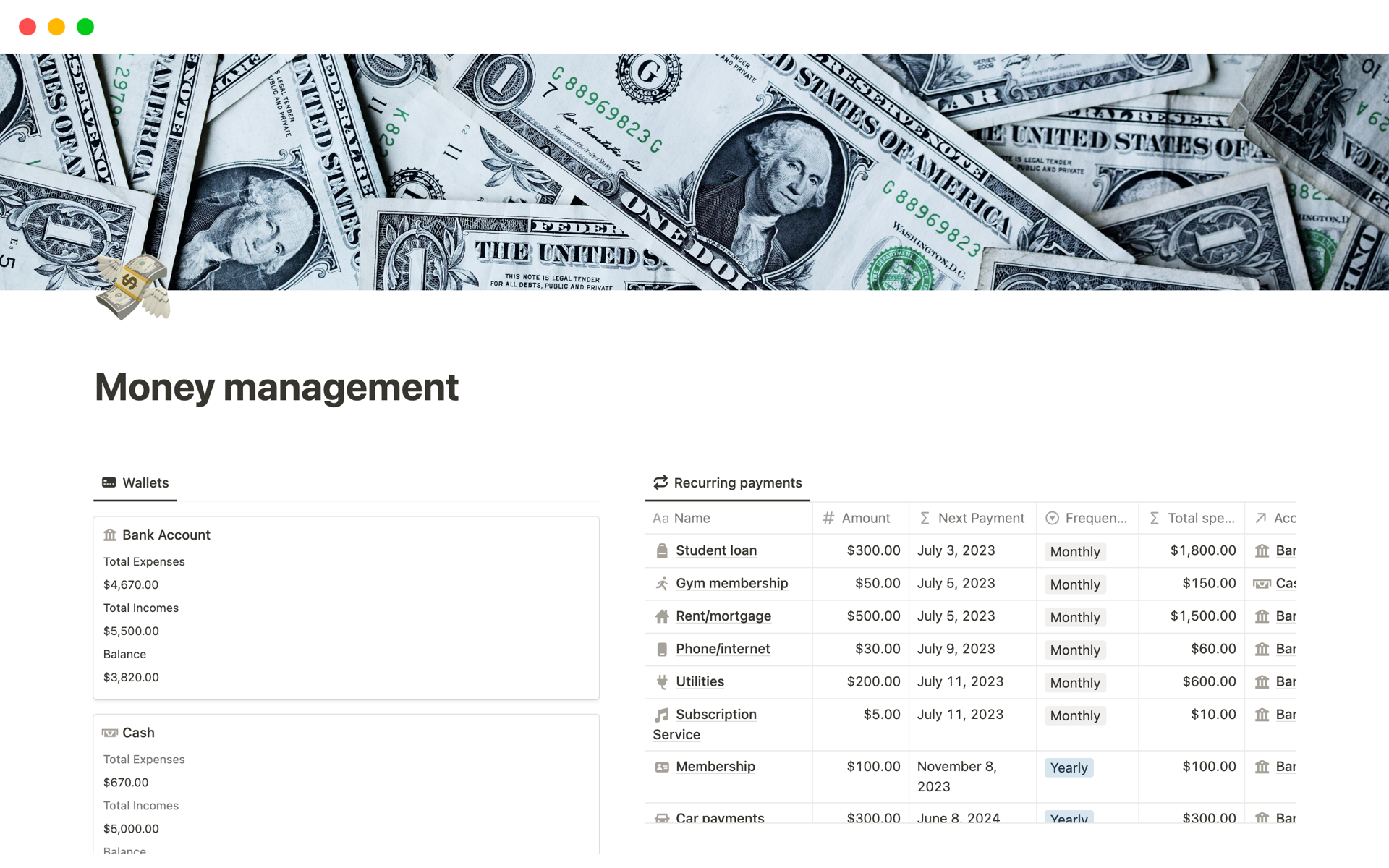 A template preview for Personal finance tracker, money management