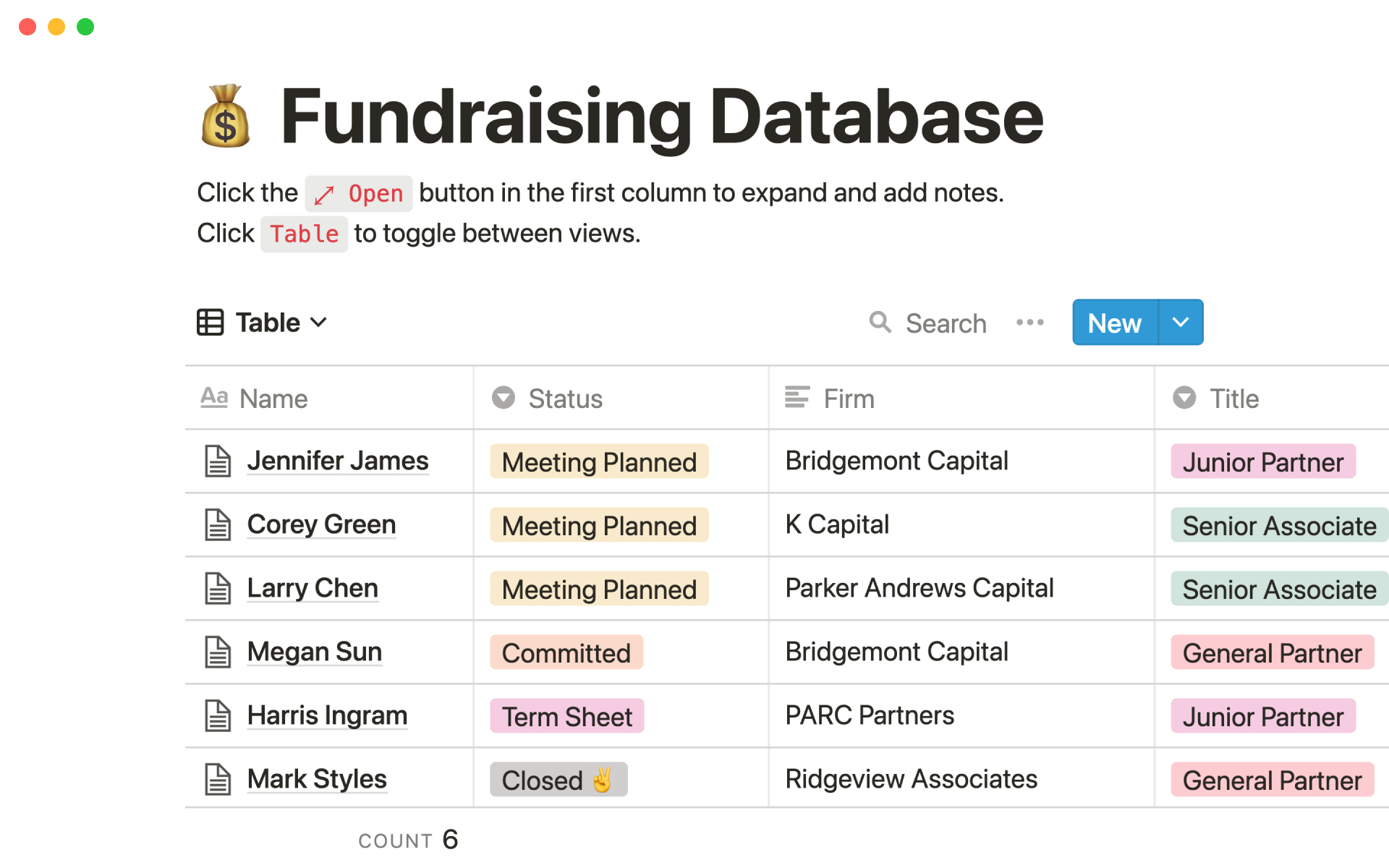 A template preview for Fundraising database