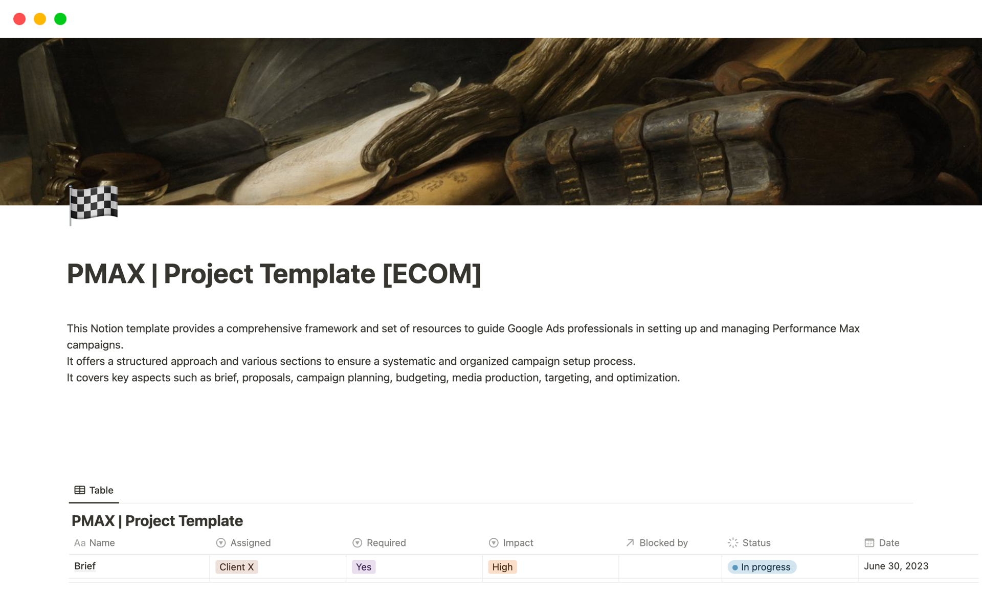 A template preview for PMAX | Project Template [ECOM]