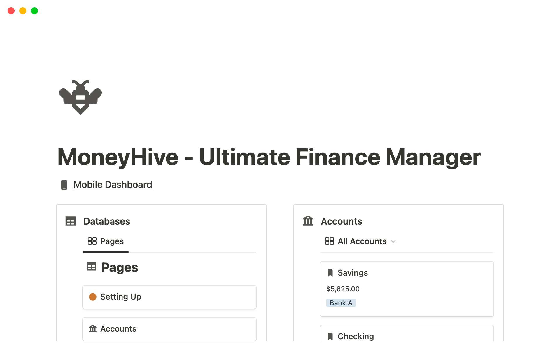 A template preview for MoneyHive - The Ultimate Finance Manager