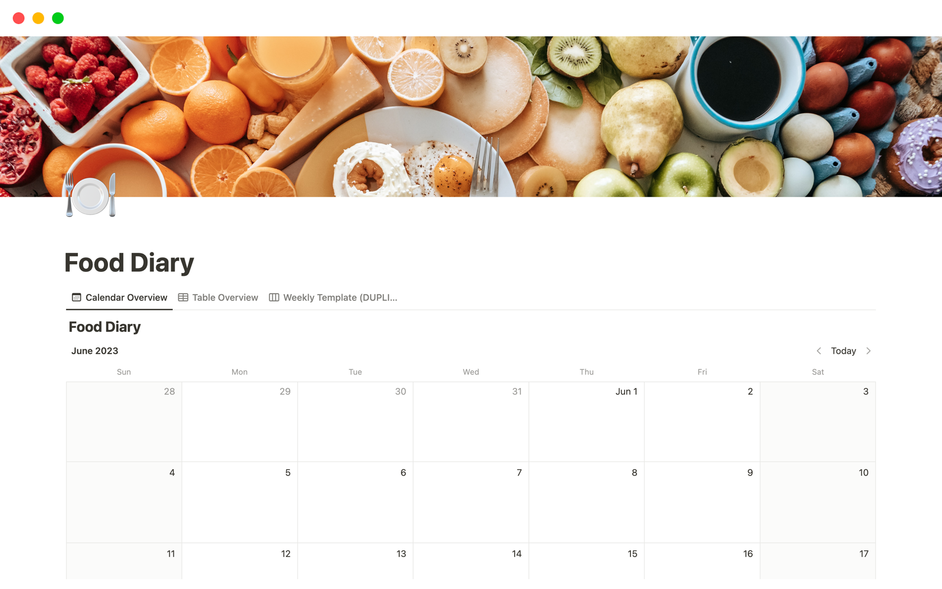 A template preview for Food Diary