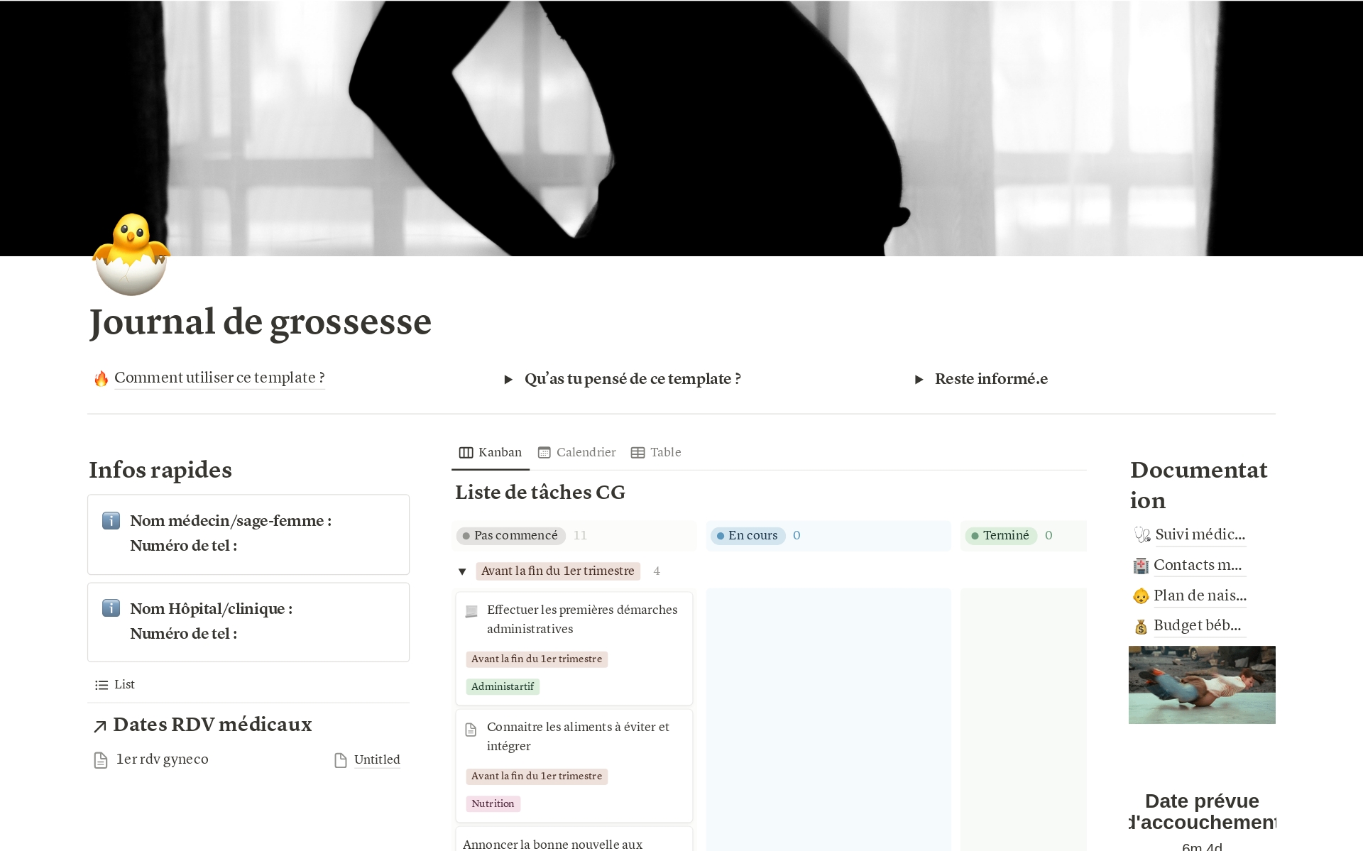 A template preview for Journal de grossesse